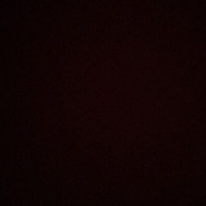 Meet your Posher, Daisy